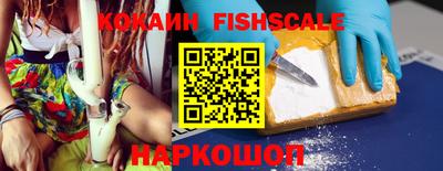 меф Гатчина