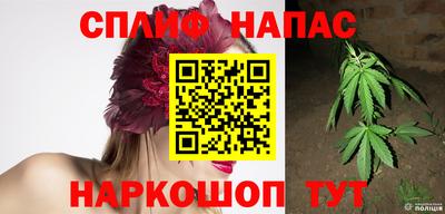 меф Гатчина