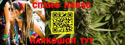 меф Гатчина