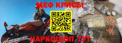 СК Гагарин