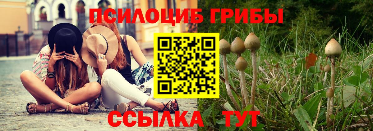 Галлюциногенные грибы GOLDEN TEACHER  Вход с VPN  Муравленко 